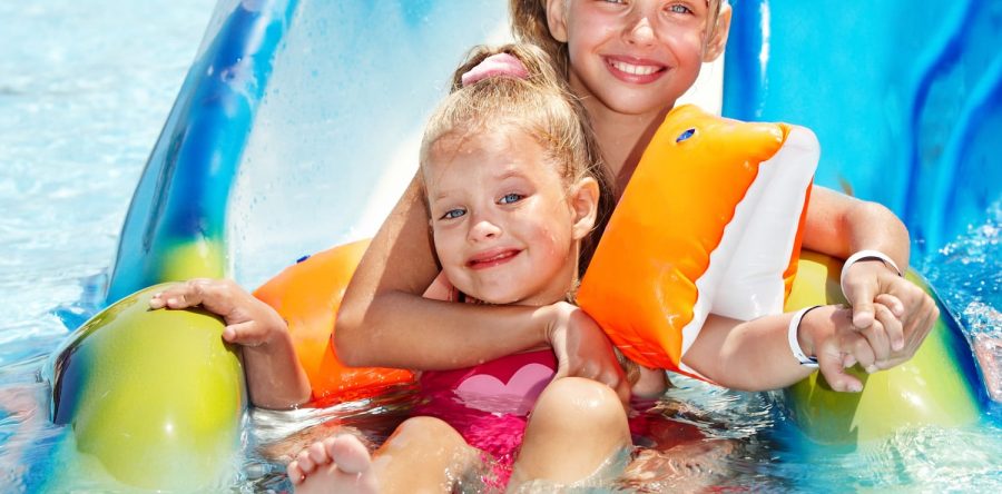 Phasellus hendrerit dapibus libero